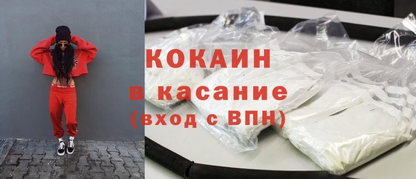 гидра Арсеньев