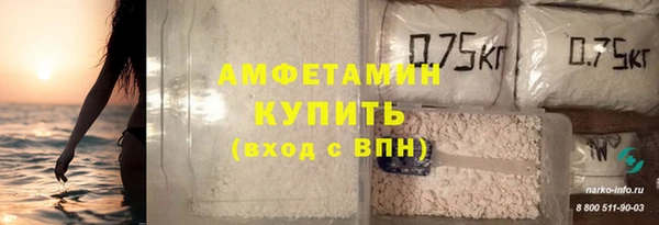 гидра Арсеньев