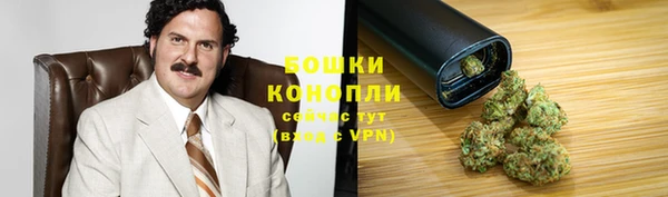 гидра Арсеньев