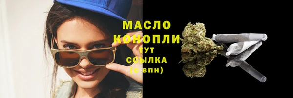 гидра Арсеньев