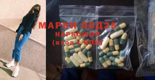 гидра Арсеньев