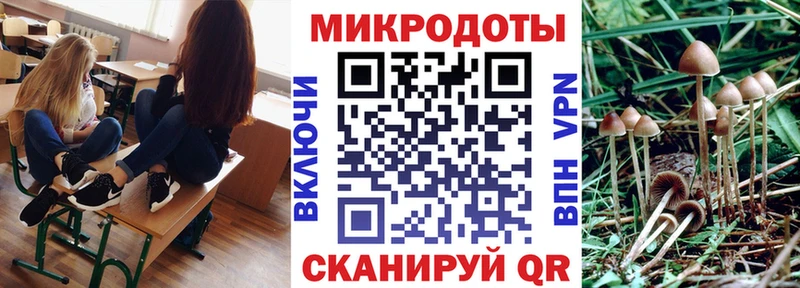 где купить   Фатеж  Псилоцибиновые грибы GOLDEN TEACHER 